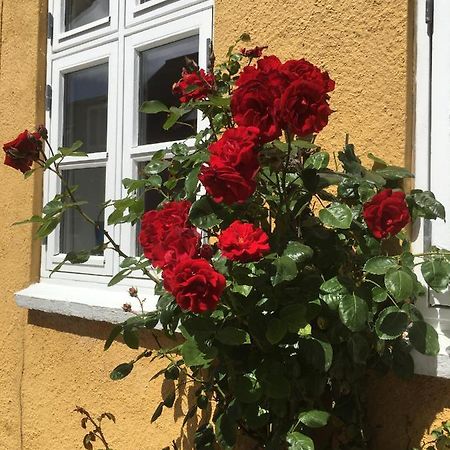 Jan Og Inges Bed & Breakfast Міддельфарт Екстер'єр фото