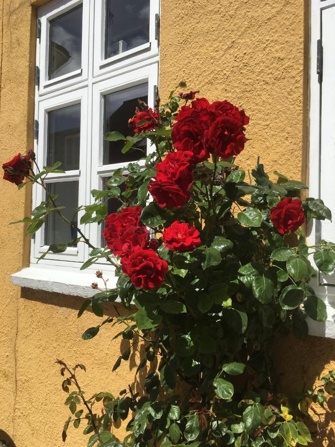 Jan Og Inges Bed & Breakfast Міддельфарт Екстер'єр фото